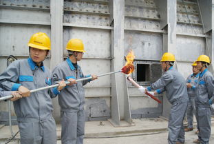 贵州省贵定海螺首条4500t d水泥熟料生产线顺利点火